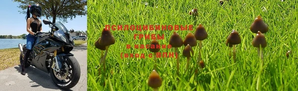 дурь Аркадак