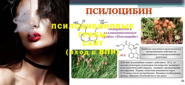 2c-b Апатиты