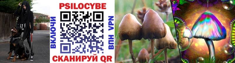 Псилоцибиновые грибы GOLDEN TEACHER  shop как зайти  Волчанск 